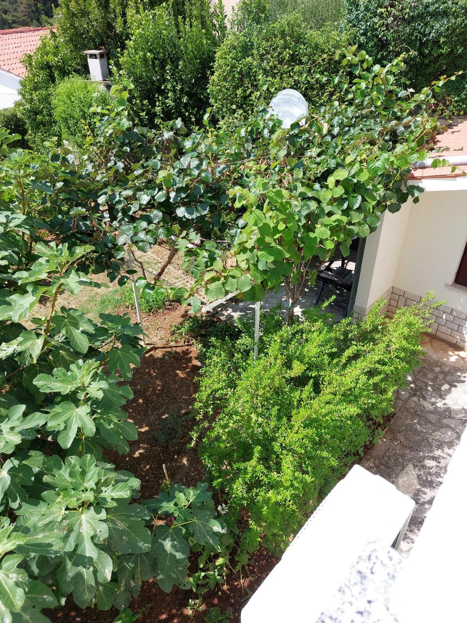 Apartment Kiwi 라벡 외부 사진